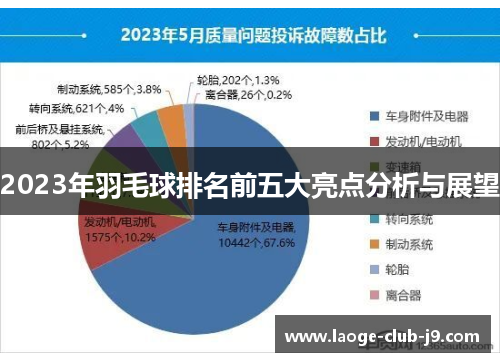 2023年羽毛球排名前五大亮点分析与展望