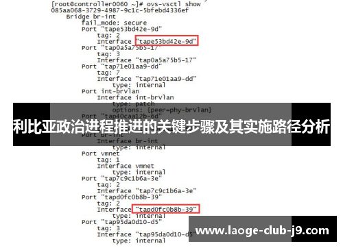 利比亚政治进程推进的关键步骤及其实施路径分析