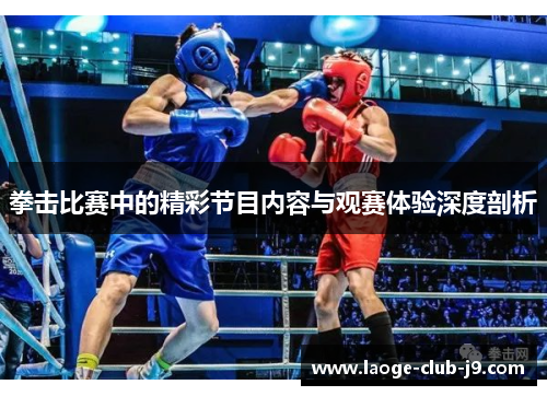 拳击比赛中的精彩节目内容与观赛体验深度剖析