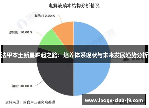 法甲本土新星崛起之路：培养体系现状与未来发展趋势分析