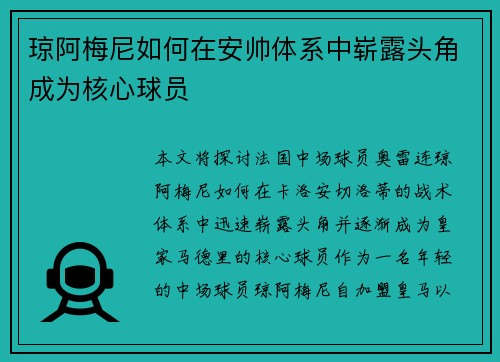 琼阿梅尼如何在安帅体系中崭露头角成为核心球员